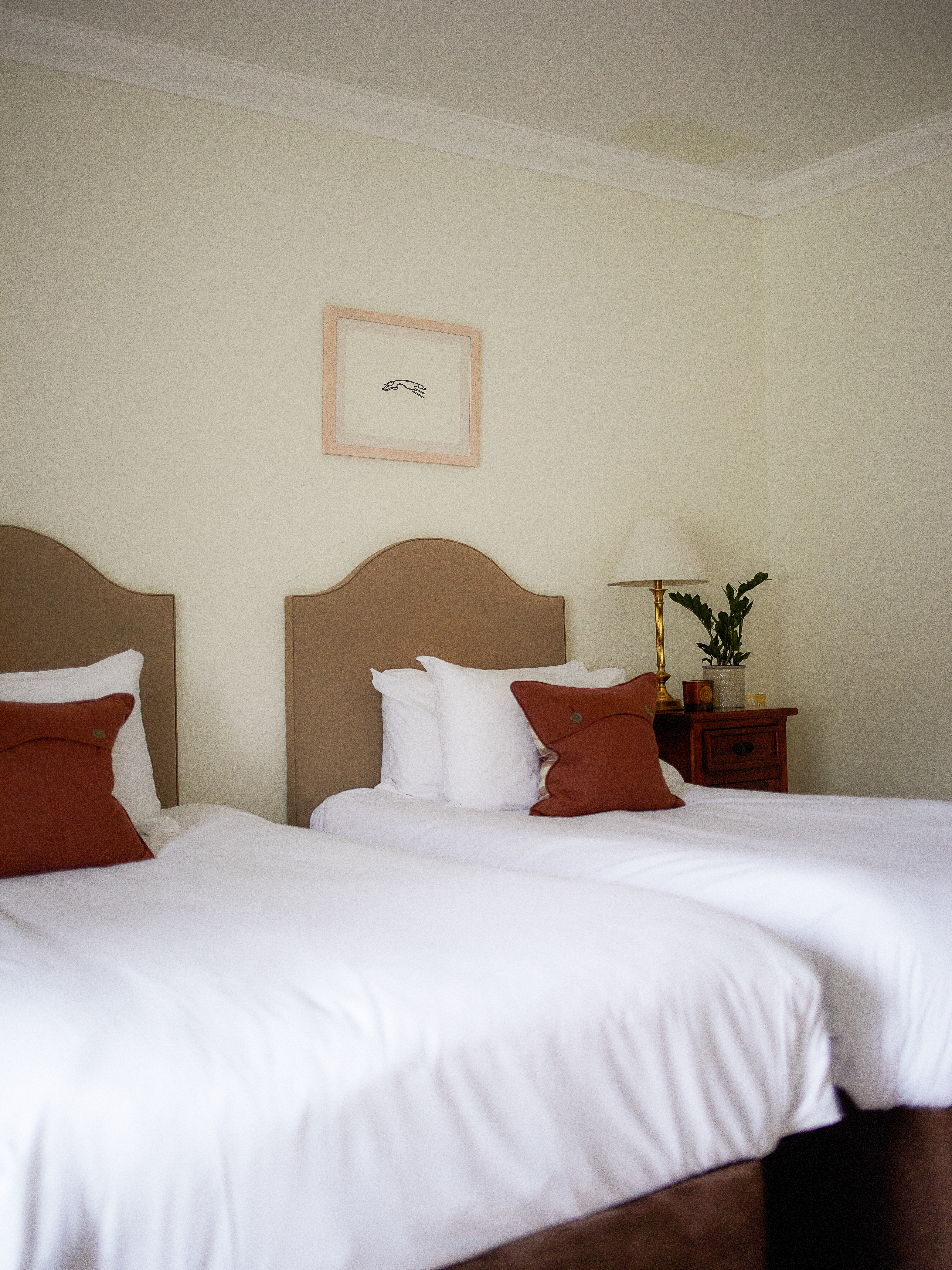 The Craigellachie Hotel Gallery Image 2