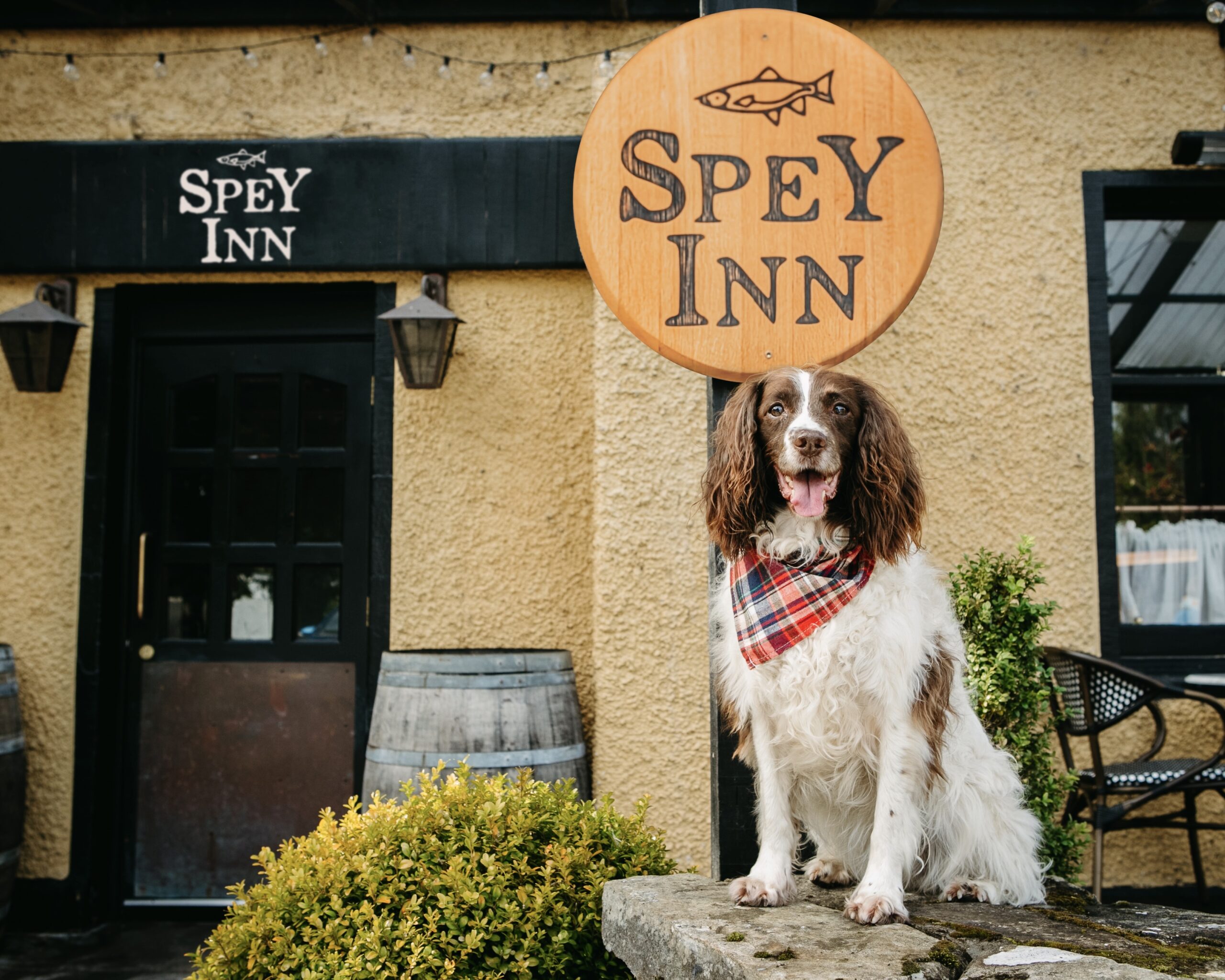 Are you planning your next stay at The Craigellachie? Don’t leave your furry best friend behind! As a proud dog-friendly hotel, our staff always goes the extra mile to make your dogs feel at home. The Craigellachie Bridge beach and the Speyside Way are just a two-minute walk away, offering the perfect backdrop to make your dog’s adventure as unforgettable as the finest drams you will enjoy at The Craigellachie Hotel.